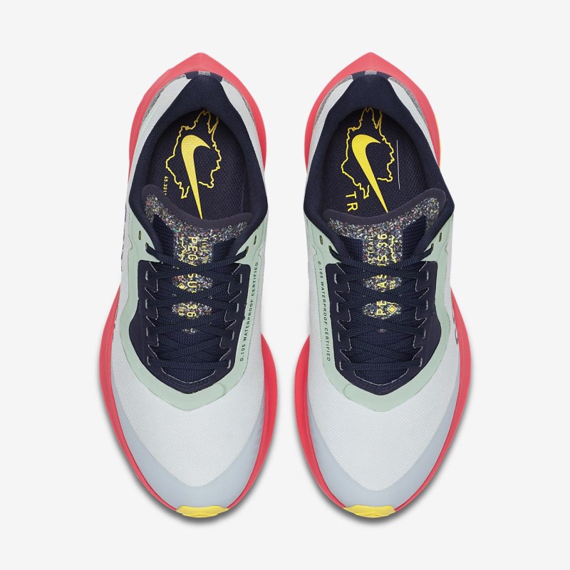 Nike エア ズーム ペガサス 36 トレイル GORE-TEX レディース ウォーキングシューズ ライト青 | AG5118-073