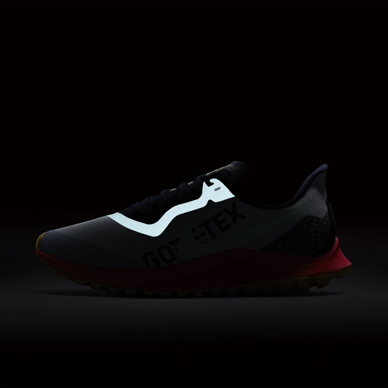 Nike エア ズーム ペガサス 36 トレイル GORE-TEX レディース ウォーキングシューズ ライト青 | AG5118-073