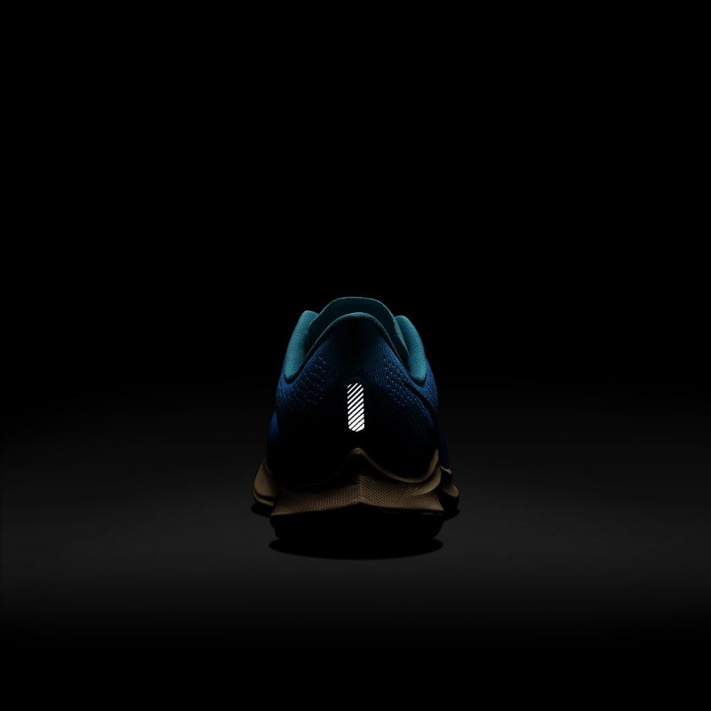 Nike エア ズーム ペガサス 36 トレイル レディース ランニングシューズ ライト青 | CX2322-126