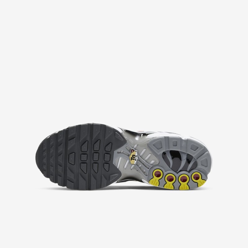 Nike エア マックス プラス キッズ スニーカー グレー | FM2162-146