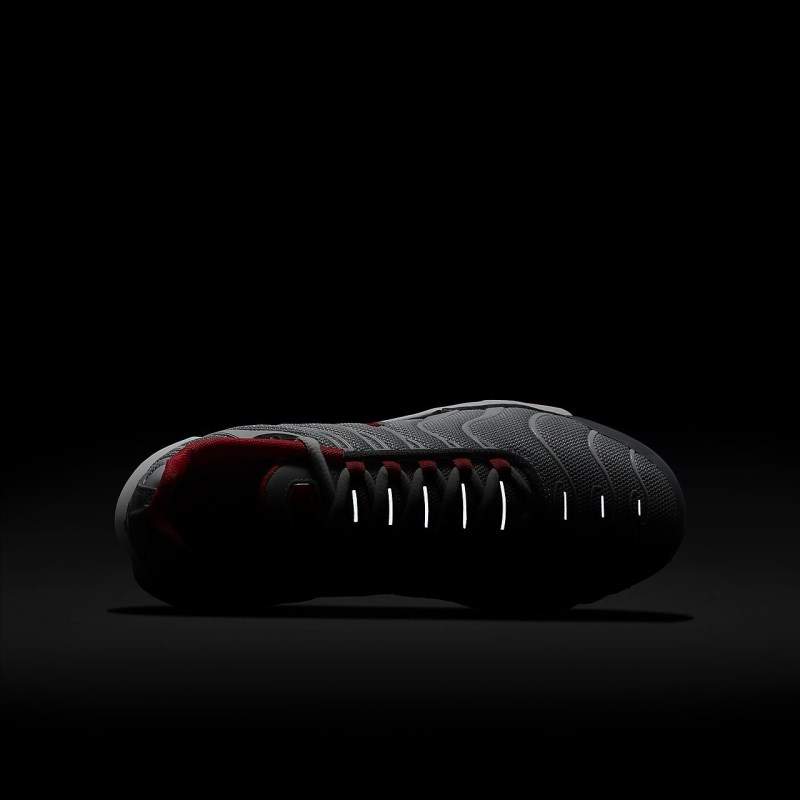 Nike エア マックス プラス キッズ スニーカー グレー | FM2162-146