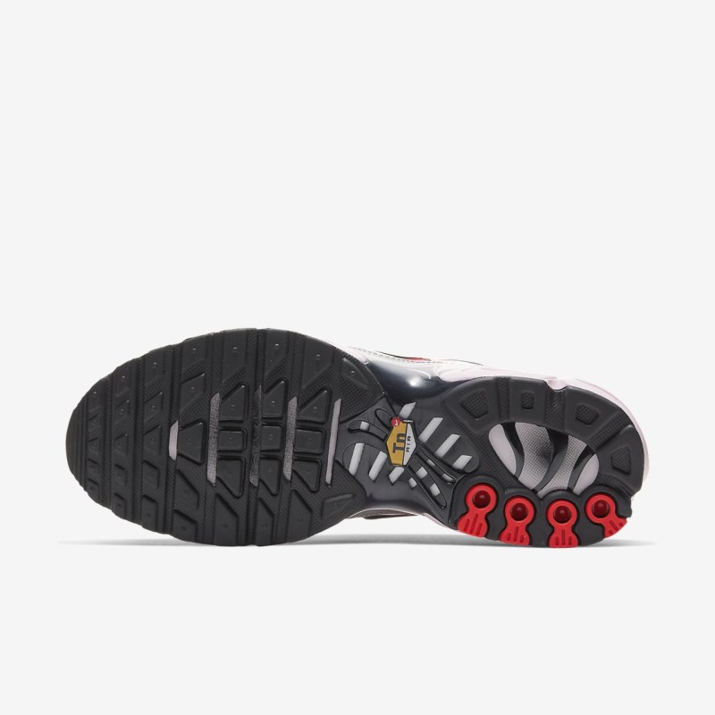 Nike エア マックス プラス レディース スニーカー シルバー | DA8386-200
