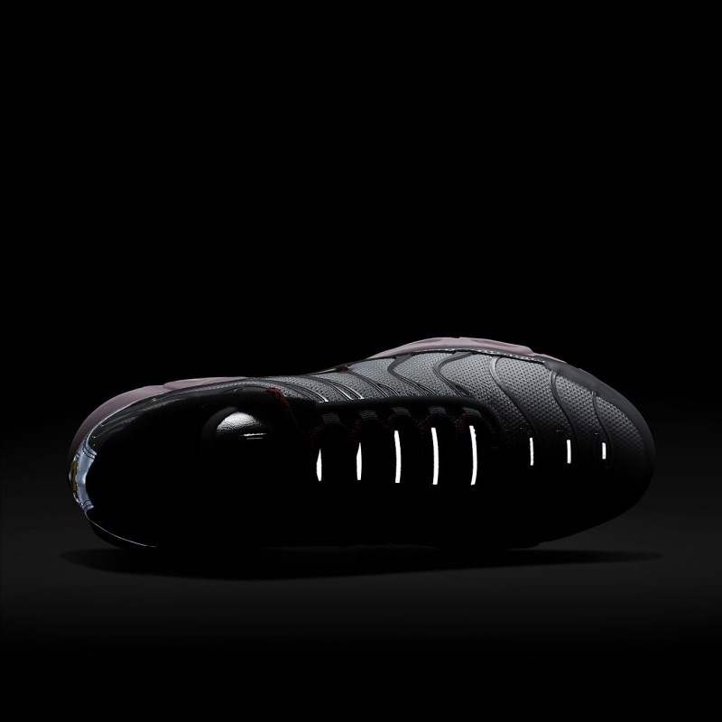 Nike エア マックス プラス レディース スニーカー シルバー | DA8386-200