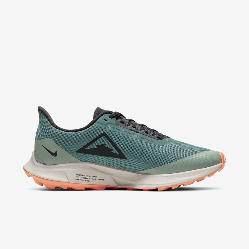 Nike ズーム ペガサス 36 トレイル GORE-TEX レディース ランニングシューズ シルバー | JU8566-650