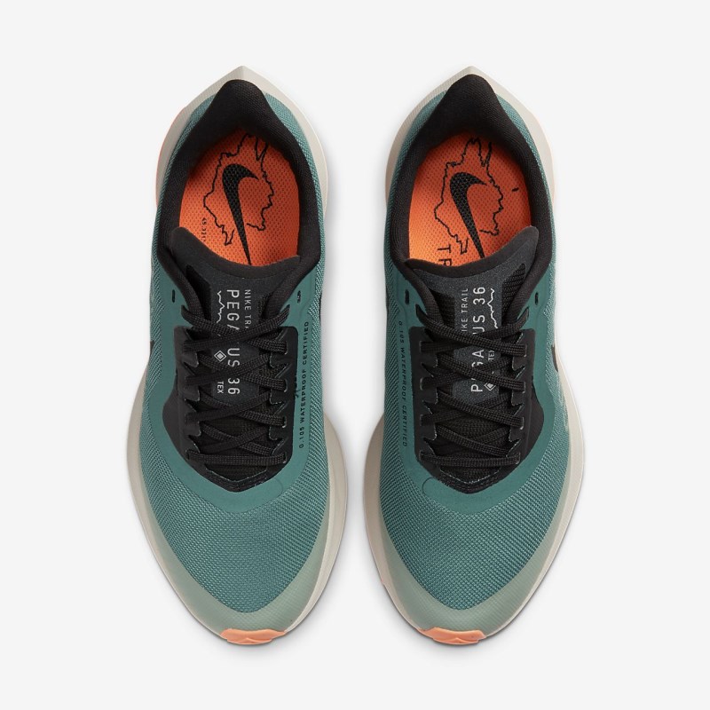 Nike ズーム ペガサス 36 トレイル GORE-TEX レディース ランニングシューズ シルバー | JU8566-650