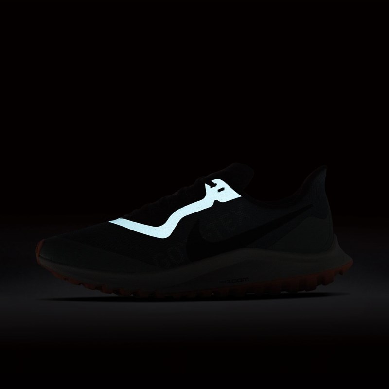 Nike ズーム ペガサス 36 トレイル GORE-TEX レディース ランニングシューズ シルバー | JU8566-650