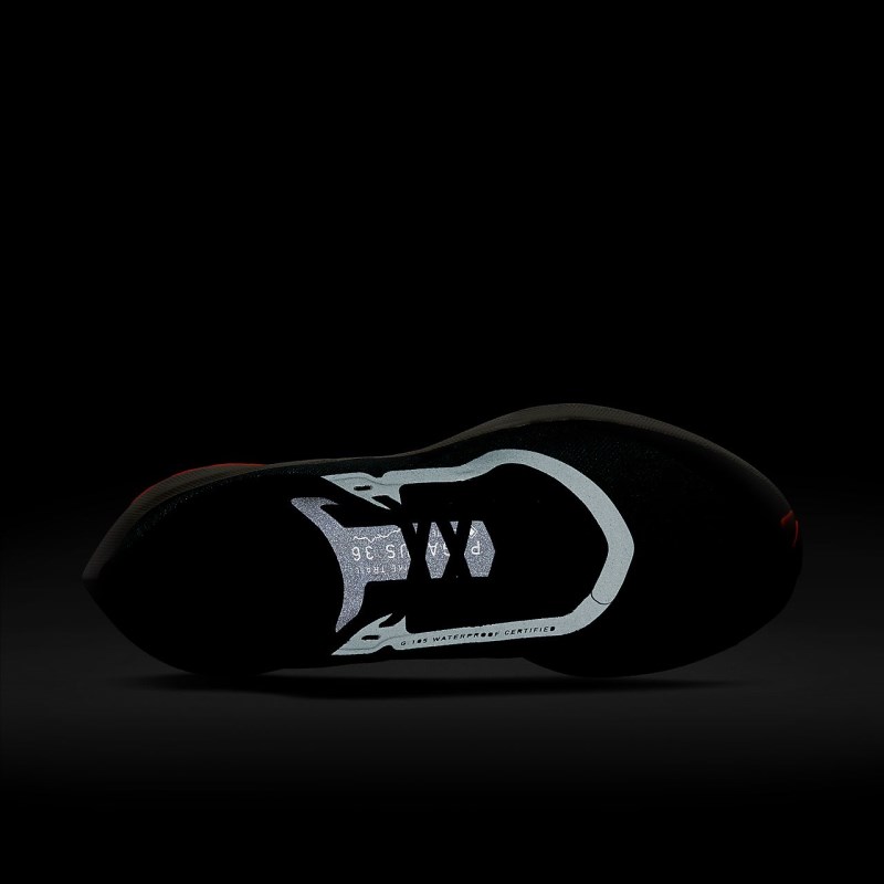 Nike ズーム ペガサス 36 トレイル GORE-TEX レディース ランニングシューズ シルバー | JU8566-650