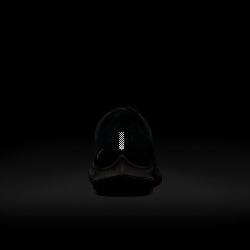 Nike ズーム ペガサス 36 トレイル GORE-TEX レディース ランニングシューズ シルバー | JU8566-650