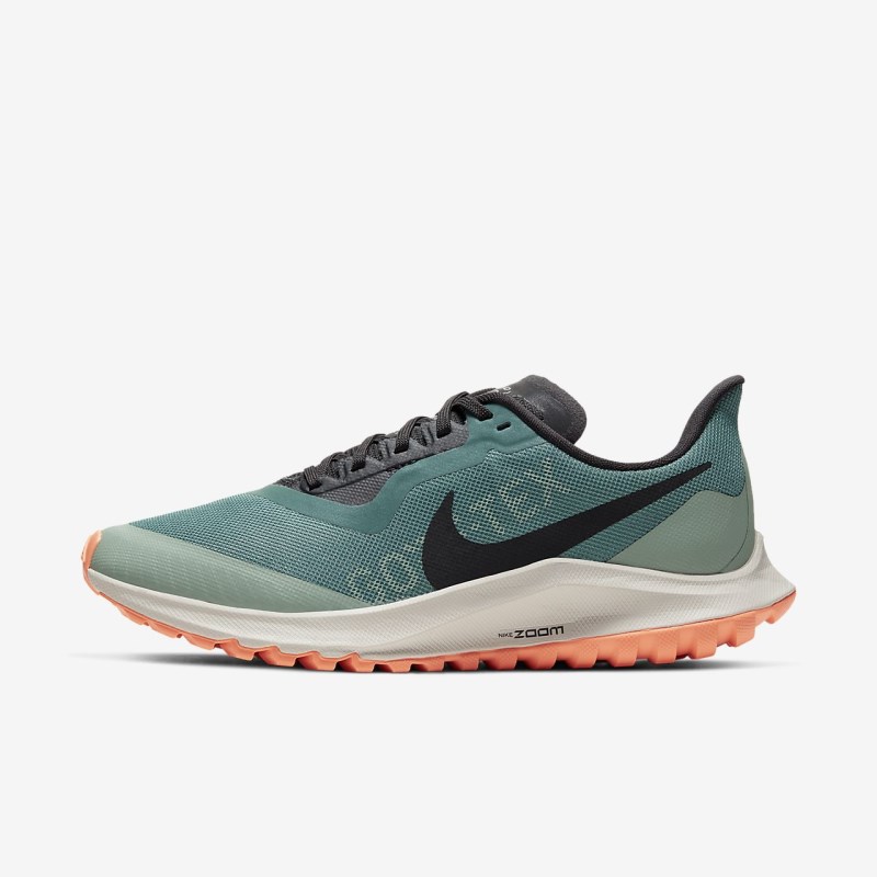 Nike ズーム ペガサス 36 トレイル GORE-TEX レディース ランニングシューズ シルバー | JU8566-650