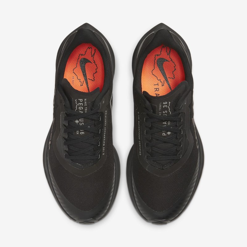 Nike ズーム ペガサス 36 トレイル GORE-TEX レディース ランニングシューズ 黒 | XM9414-251
