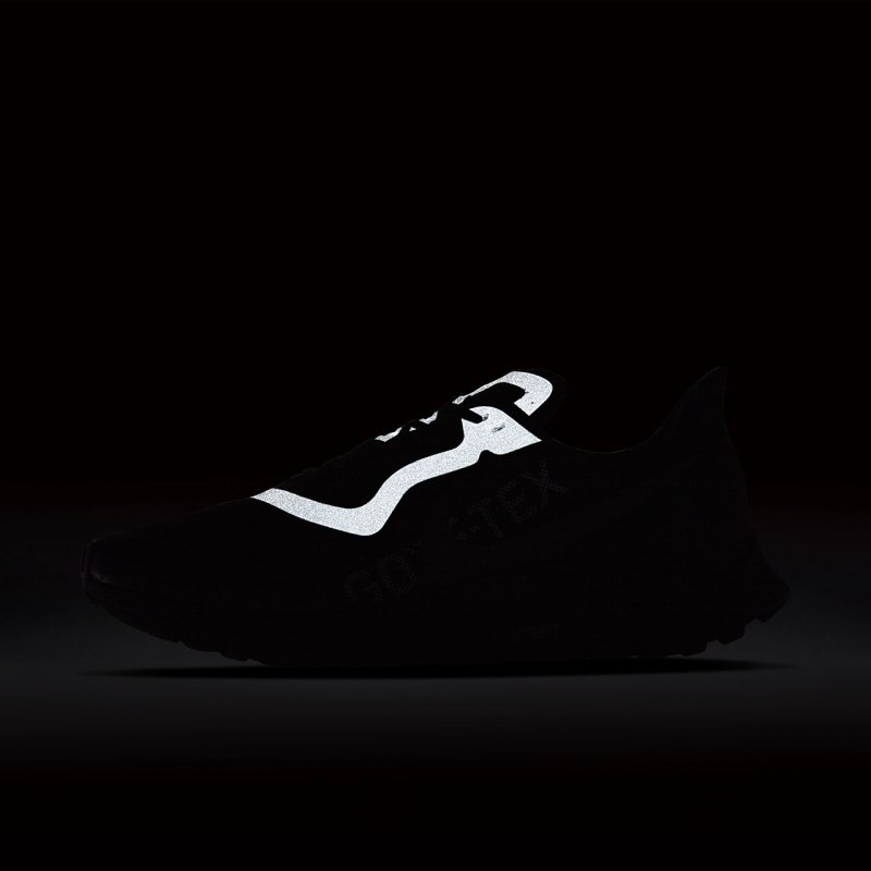 Nike ズーム ペガサス 36 トレイル GORE-TEX レディース ランニングシューズ 黒 | XM9414-251