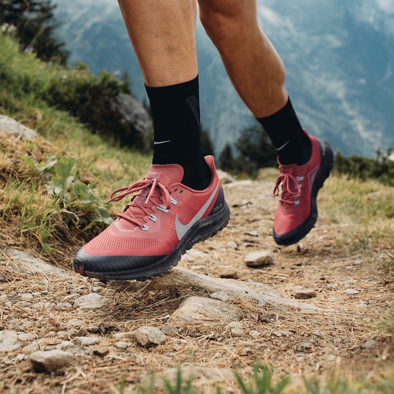 Nike ペガサス 36 トレイル メンズ ランニングシューズ グレー | AN0692-956